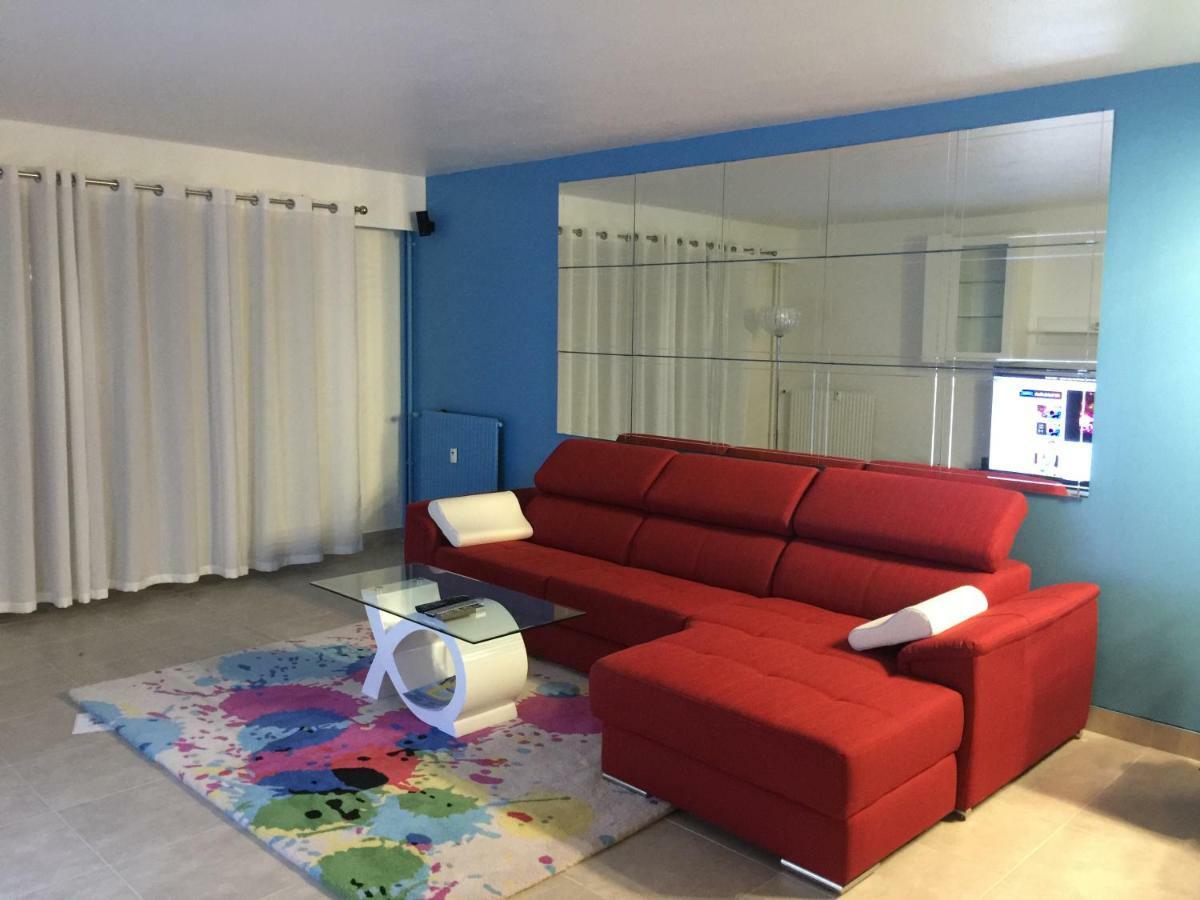Grand Appartement A Louer Vue Sur Seine 믈룅 외부 사진