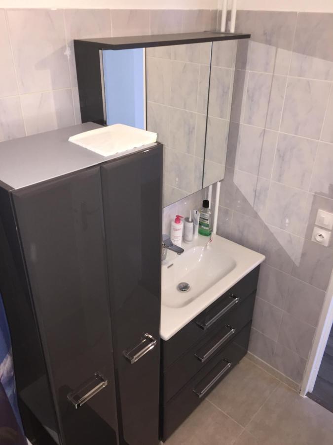 Grand Appartement A Louer Vue Sur Seine 믈룅 외부 사진